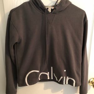 Calvin Klein Cropped Hoodie